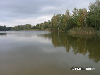 Falkensee