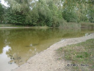 Falkensee