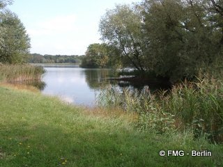 Nympfensee