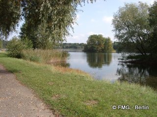 Nympfensee_3f.jpg